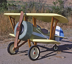 The Pedal Biplane Plans